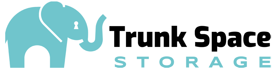 Trunk Space Logo
